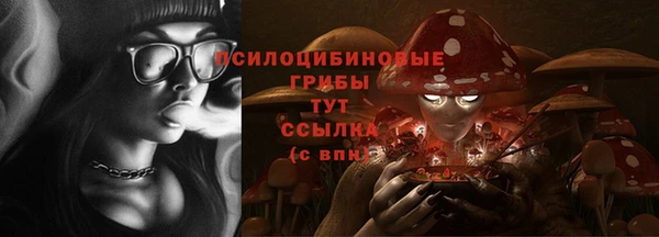гидра Абаза