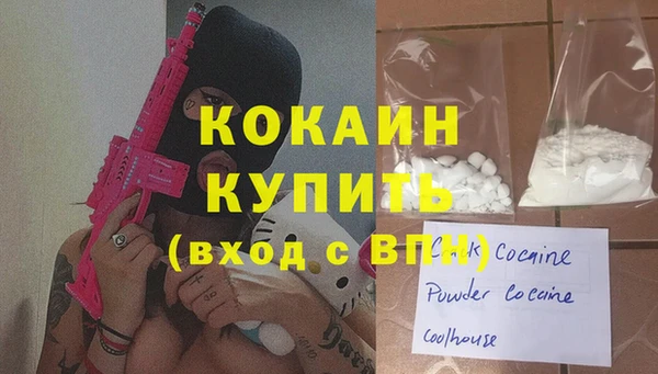 гидра Абаза