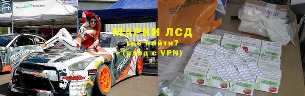 гидра Абаза