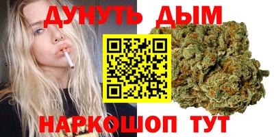 сатива Краснокаменск