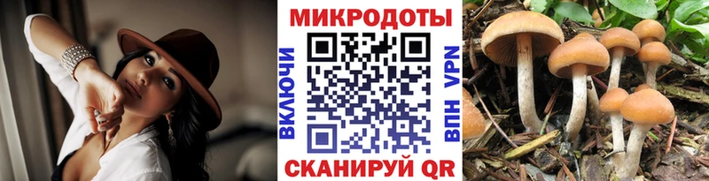 mega вход  Магадан  Галлюциногенные грибы прущие грибы 