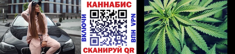 Шишки марихуана план  hydra как зайти  Магадан  наркота 